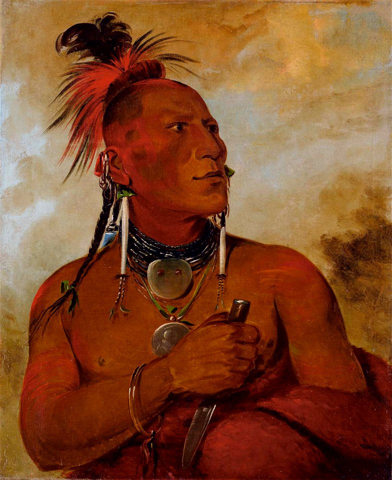 George Catlin - Meach-o-shín-gaw, Little White Bear, a Distinguished Brave - 1985.66.25 - Smithsonian American Art Museum