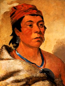 George Catlin - Round Island, a Warrior - 1985.66.265 - Smithsonian American Art Museum. Free illustration for personal and commercial use.