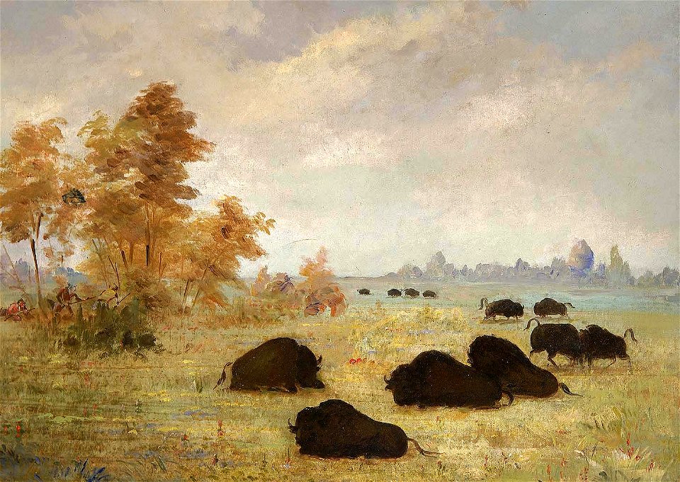 George Catlin - Stalking Buffalo, Arkansas - 1985.66.599 - Smithsonian American Art Museum