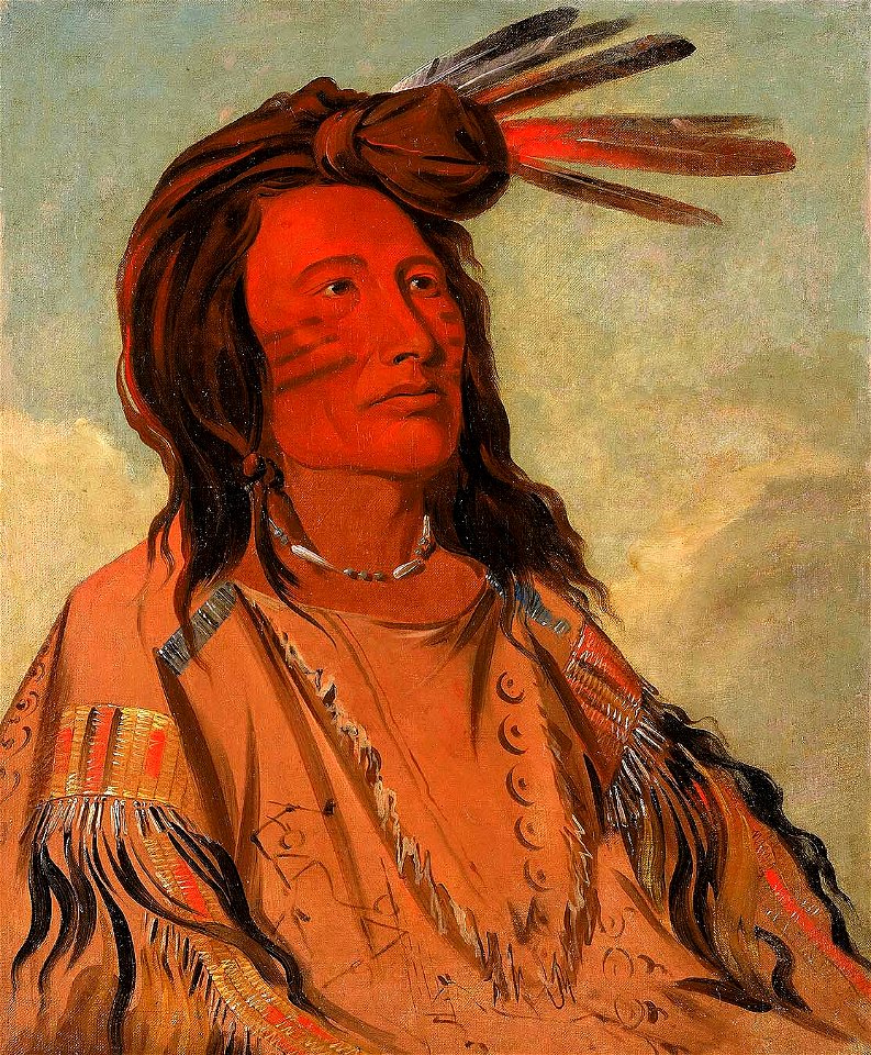 George Catlin - Tchán-dee, Tobacco, an Oglala Chief - 1985.66.71 - Smithsonian American Art Museum