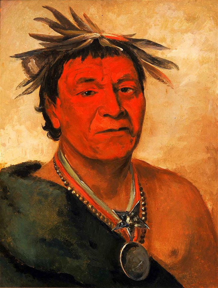 George Catlin - O-ho-páh-sha, Small Whoop, a Distinguished Warrior - 1985.66.229 - Smithsonian American Art Museum
