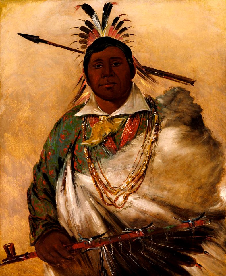 George Catlin - Téh-ke-néh-kee, Black Coat, a Chief - 1985.66.286 - Smithsonian American Art Museum
