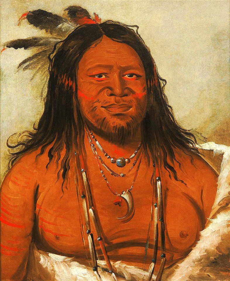 George Catlin - Ta-wáh-que-nah, Mountain of Rocks, Second Chief of the Tribe - 1985.66.47 - Smithsonian American Art Museum
