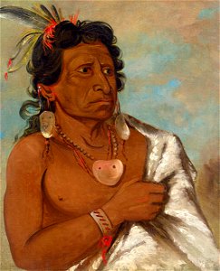George Catlin - U'sh-ee-kitz, He Who Fights with a Feather, Chief of the Tribe - 1985.66.68 - Smithsonian American Art Museum