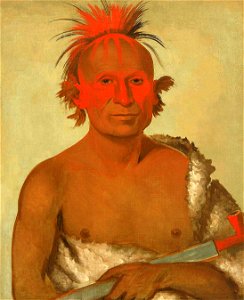 George Catlin - Pash-ee-pa-hó, Little Stabbing Chief, the Younger, One of Black Hawk's Braves - 1985.66.15 - Smithsonian American Art Museum