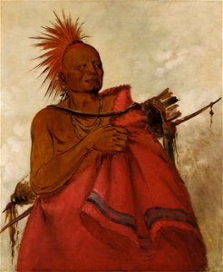 George Catlin - Tcha-tó-ga, Mad Buffalo, Murderer of Two White Men - 1985.66.41 - Smithsonian American Art Museum