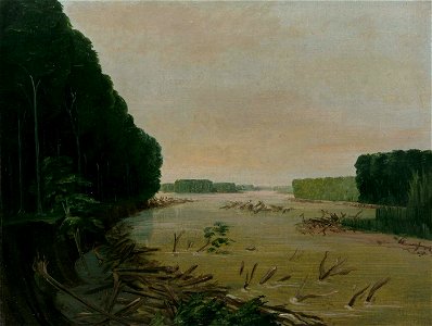 George Catlin - View on the Missouri, Alluvial Banks Falling in, 600 Miles above St. Louis - 1985.66.363 - Smithsonian American Art Museum