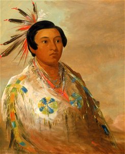 George Catlin - Hee-doh'ge-ats, a Young Man - 1985.66.148 - Smithsonian American Art Museum