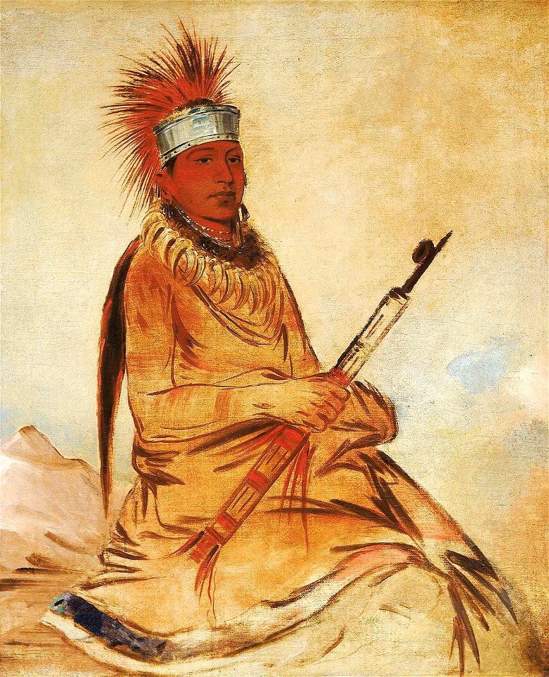 George Catlin - W'y-ee-yogh, Man of Sense, a Brave - 1985.66.259 - Smithsonian American Art Museum