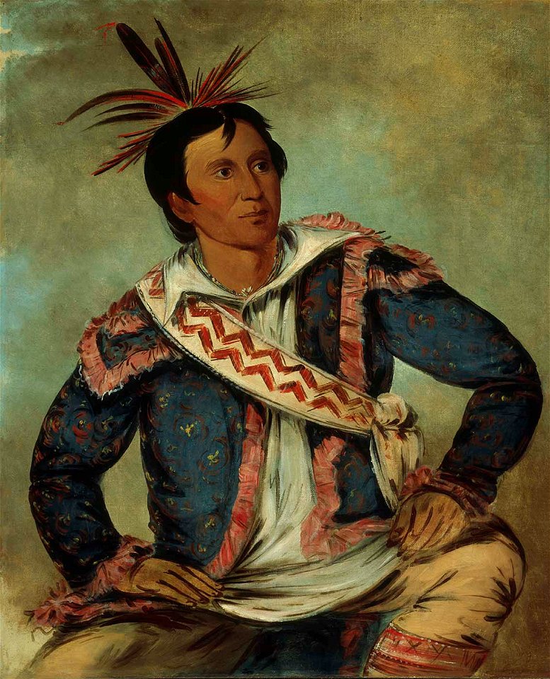 George Catlin - Há-tchoo-túc-knee, Snapping Turtle, a Half-breed - 1985.66.296 - Smithsonian American Art Museum