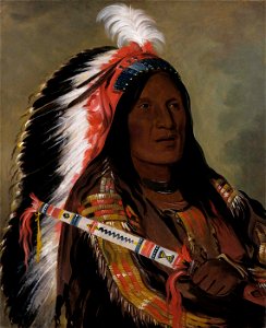 George Catlin - Táh-téck-a-da-háir, Steep Wind, a Brave of the Bad Arrow Points Band - 1985.66.86 - Smithsonian American Art Museum
