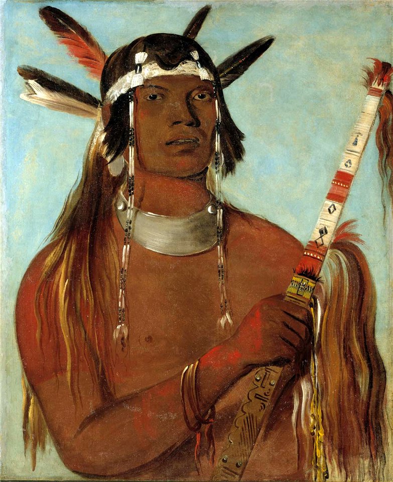 George Catlin - Seehk-hée-da, Mouse-colored Feather, a Noted Brave - 1985.66.132 - Smithsonian American Art Museum