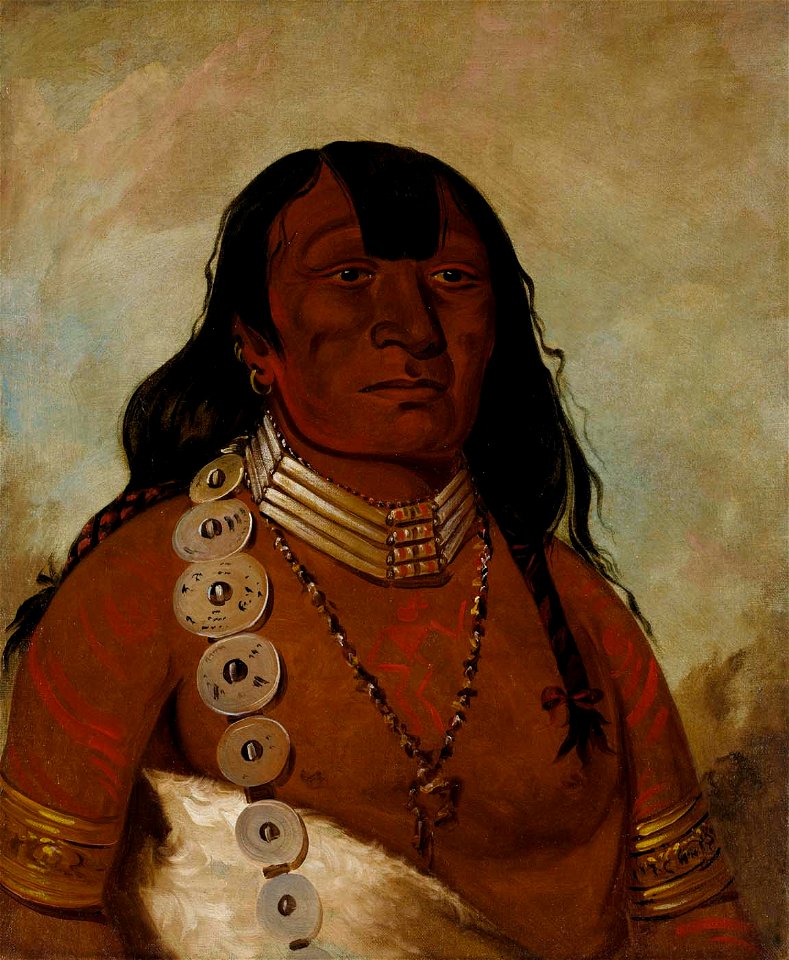 George Catlin - Téh-tóot-sah (better known as Tohausen, Little Bluff), First Chief - 1985.66.62 - Smithsonian American Art Museum