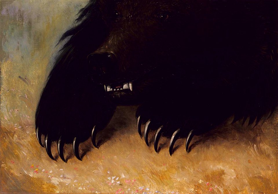 George Catlin - Weapons and Physiognomy of the Grizzly Bear - 1985.66.563B - Smithsonian American Art Museum