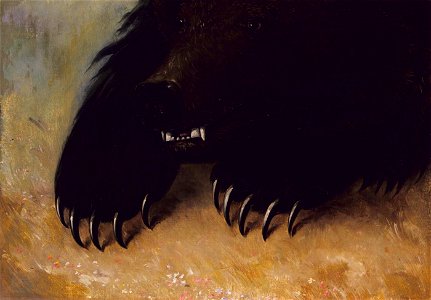 George Catlin - Weapons and Physiognomy of the Grizzly Bear - 1985.66.563B - Smithsonian American Art Museum