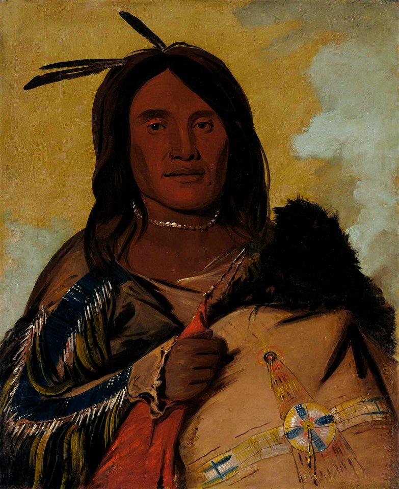 George Catlin - Ka-pés-ka-da, Shell Man, an Oglala Brave - 1985.66.76 - Smithsonian American Art Museum