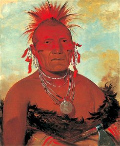 George Catlin - Shón-ka-ki-he-ga, Horse Chief, Grand Pawnee Head Chief - 1985.66.99 - Smithsonian American Art Museum