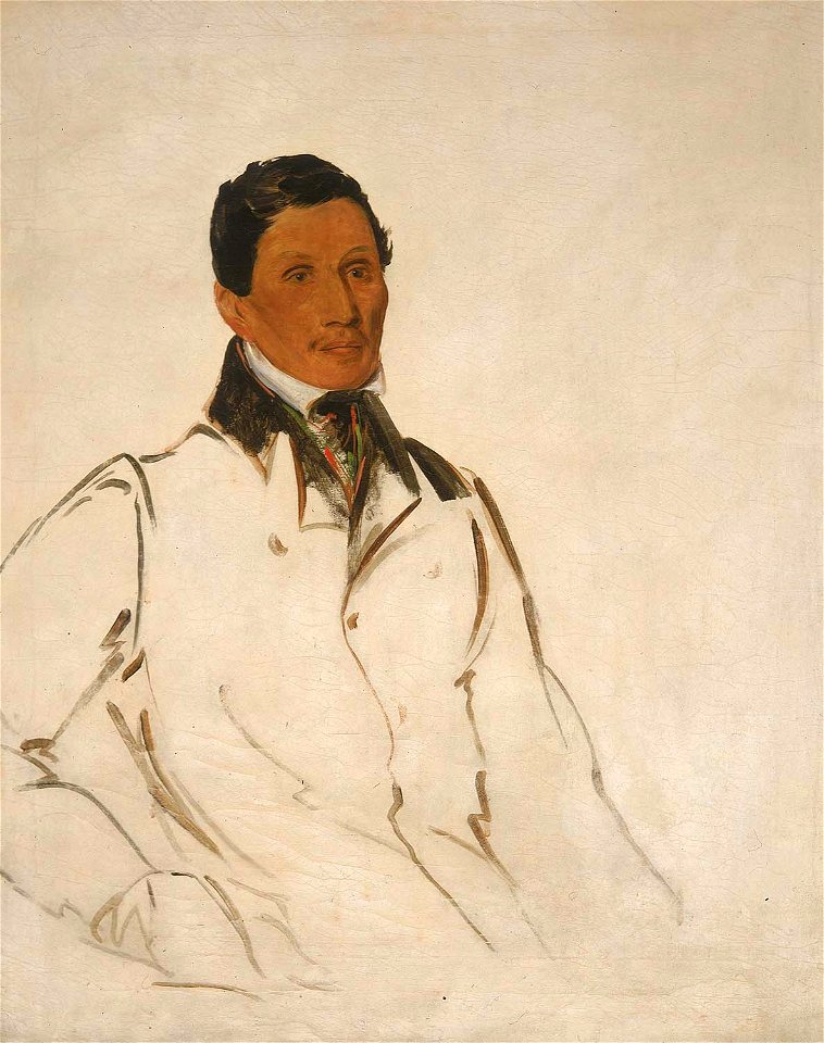 George Catlin - Waun-naw-con, The Dish (John W. Quinney), a Missionary Preacher - 1985.66.273 - Smithsonian American Art Museum