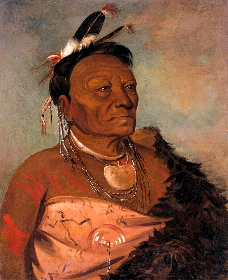 George Catlin - Wee-tá-ra-shá-ro, Head Chief of the Tribe - 1985.66.55 - Smithsonian American Art Museum