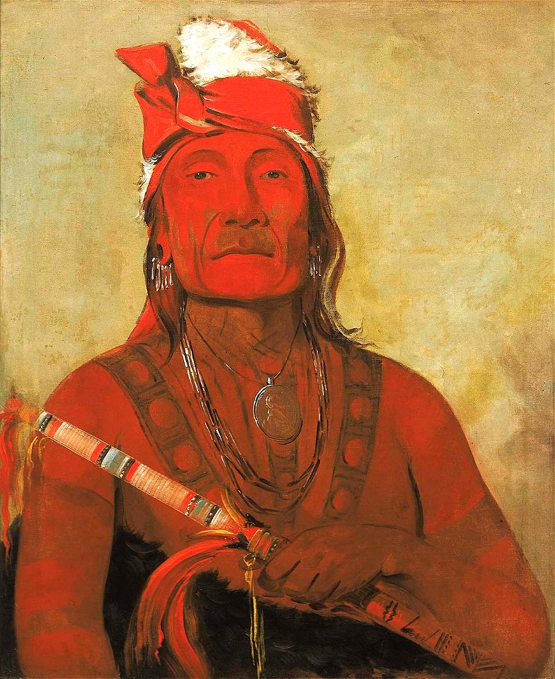 George Catlin - Toh-kí-e-to, Stone With Horns, a Chief - 1985.66.82 - Smithsonian American Art Museum