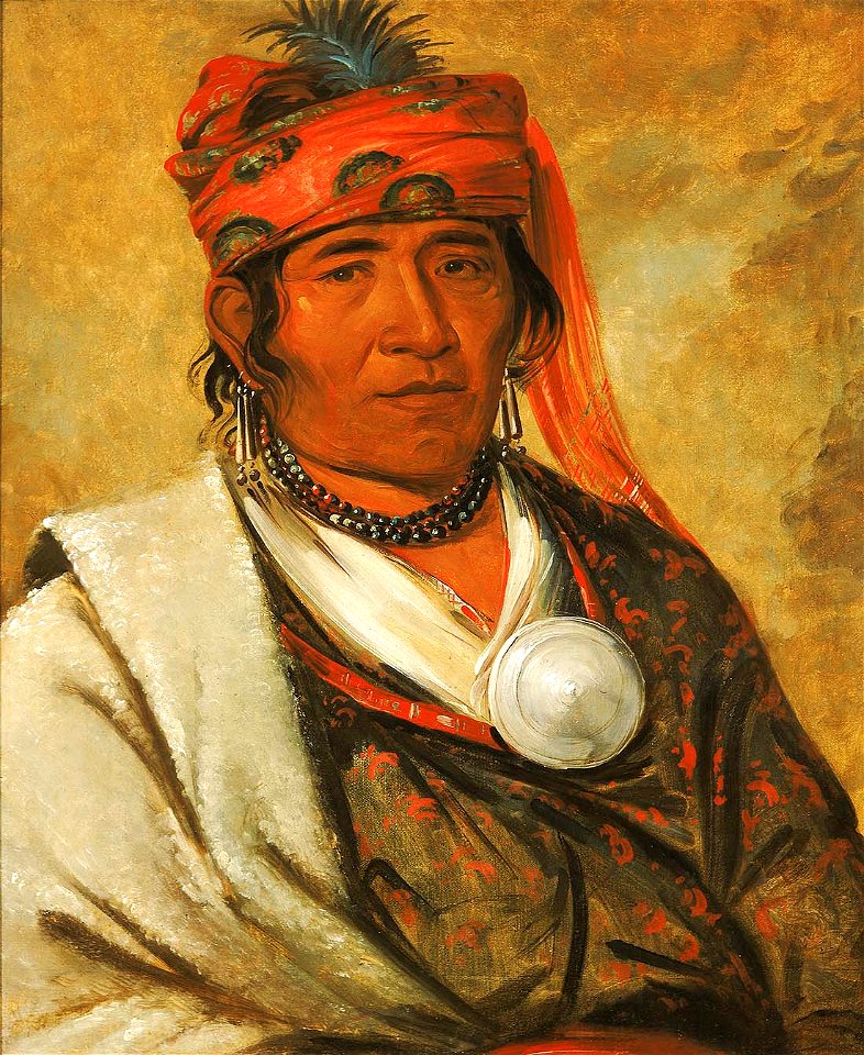 George Catlin - Ye-hów-lo-gee, The Cloud, a Chief - 1985.66.303 - Smithsonian American Art Museum