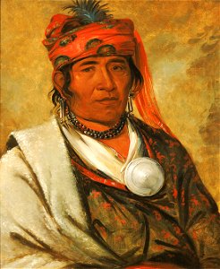 George Catlin - Ye-hów-lo-gee, The Cloud, a Chief - 1985.66.303 - Smithsonian American Art Museum