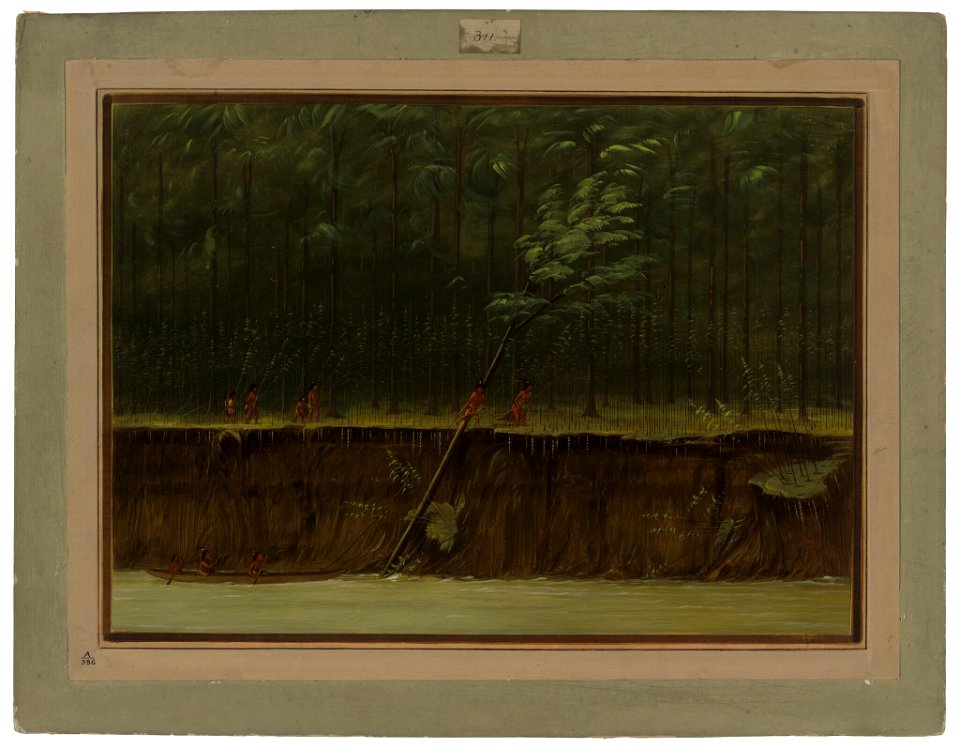 George Catlin - View of the Lower Mississippi - 1965.16.209 - National Gallery of Art