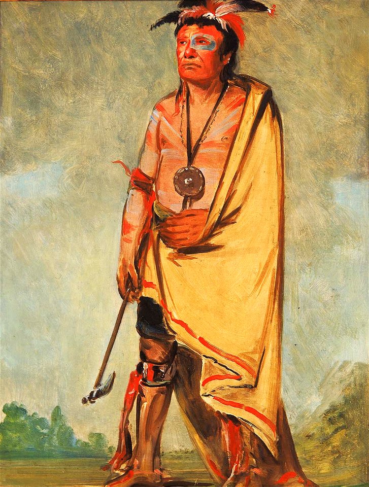 George Catlin - No-ak-chóo-she-kaw, He Who Breaks the Bushes - 1985.66.216 - Smithsonian American Art Museum