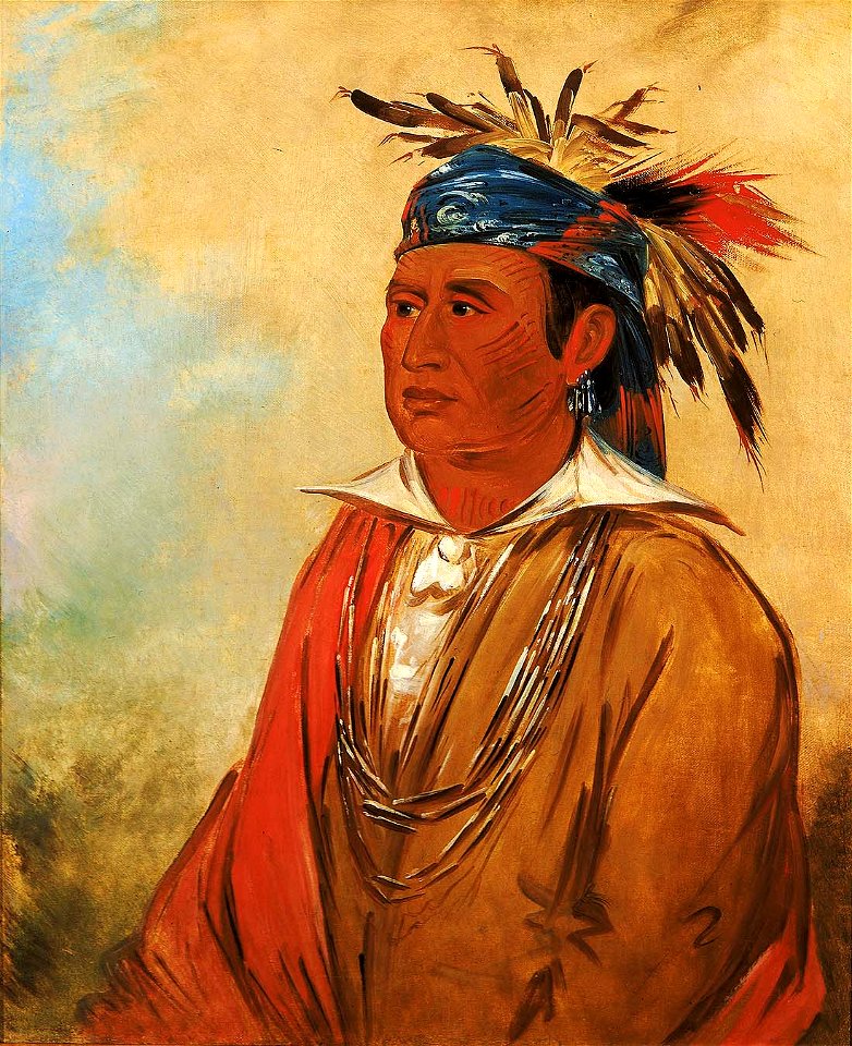 George Catlin - Wah-pón-jee-a, The Swan, a Warrior - 1985.66.249 - Smithsonian American Art Museum