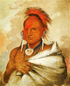 George Catlin - O-rón-gás-see, Bear-catcher, a Celebrated Warrior - 1985.66.26 - Smithsonian American Art Museum
