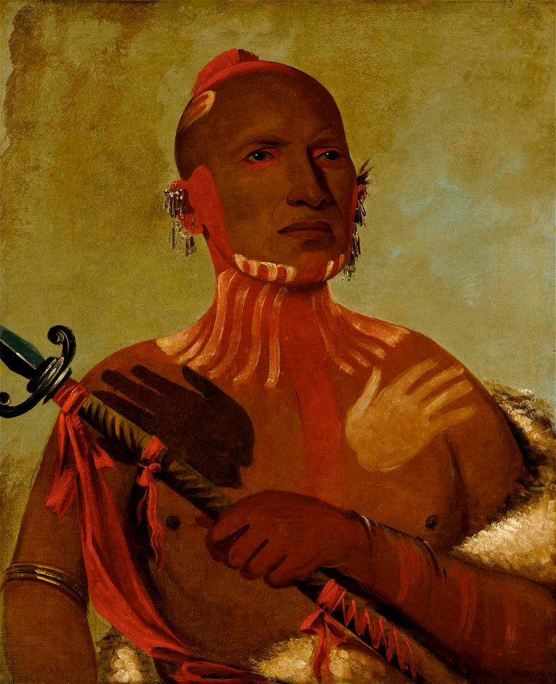 George Catlin - Wée-sheet, Sturgeon's Head, a Fox Warrior - 1985.66.18 - Smithsonian American Art Museum