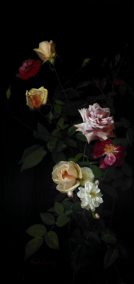 George Cochran Lambdin - Still Life - 1850-1983 - Saint Louis Art Museum