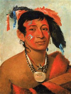 George Catlin - Sha-wá-no, The South, a Noted Warrior - 1985.66.222 - Smithsonian American Art Museum