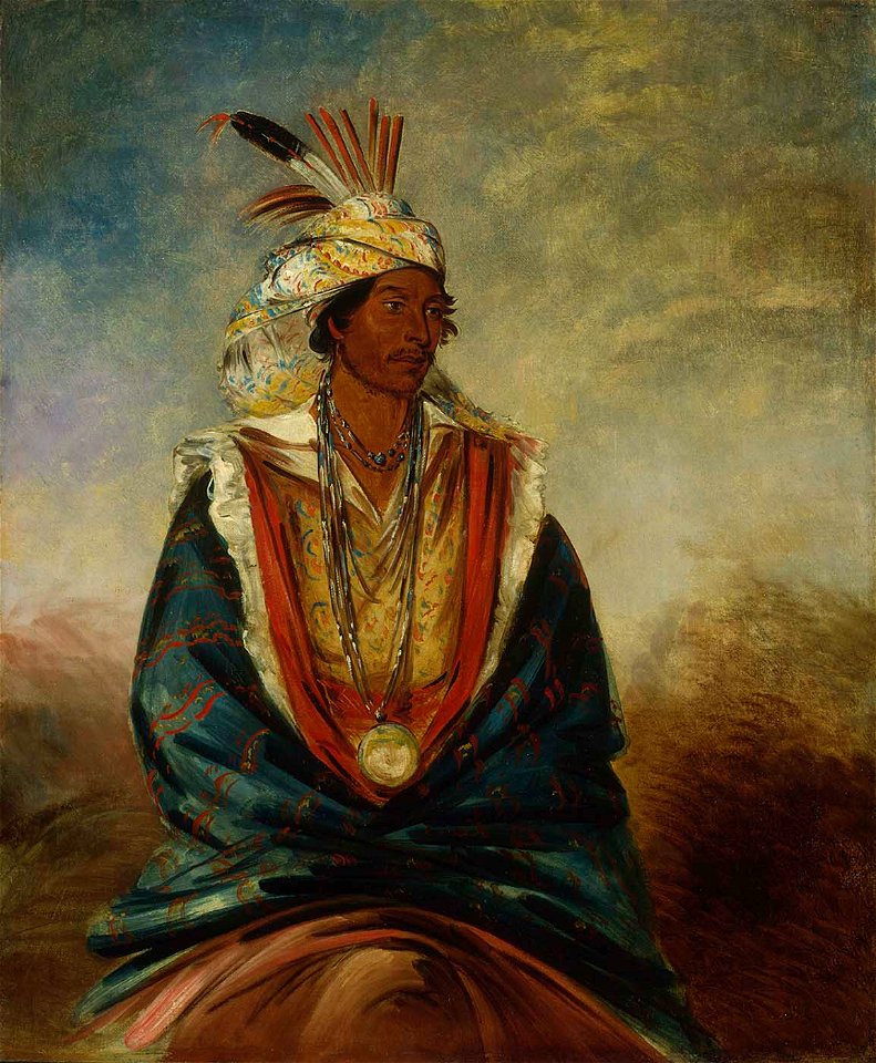 George Catlin - Tel-maz-há-za, a Warrior of Distinction - 1985.66.293 - Smithsonian American Art Museum
