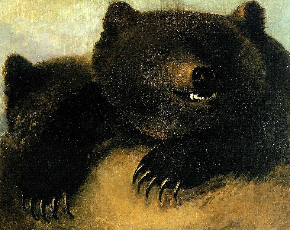 George Catlin - Weapons and Physiognomy of the Grizzly Bear - 1985.66.563 - Smithsonian American Art Museum
