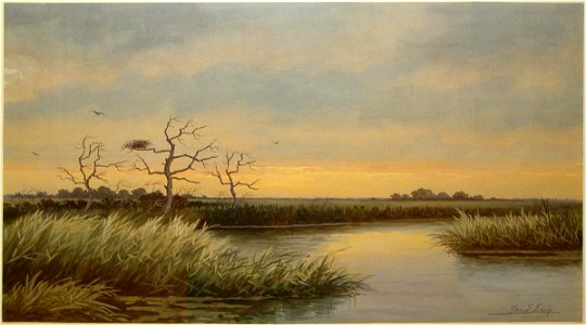George Emerick Essig - Jersey Marshes, South New Jersey - 1919.38.1 - Reading Public Museum