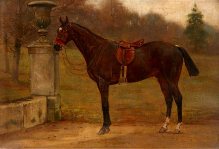 George Goodwin Kilburne (1839-1924) - A Saddled Dark Bay Horse next to an Urn in a Garden - 1221344 - National Trust