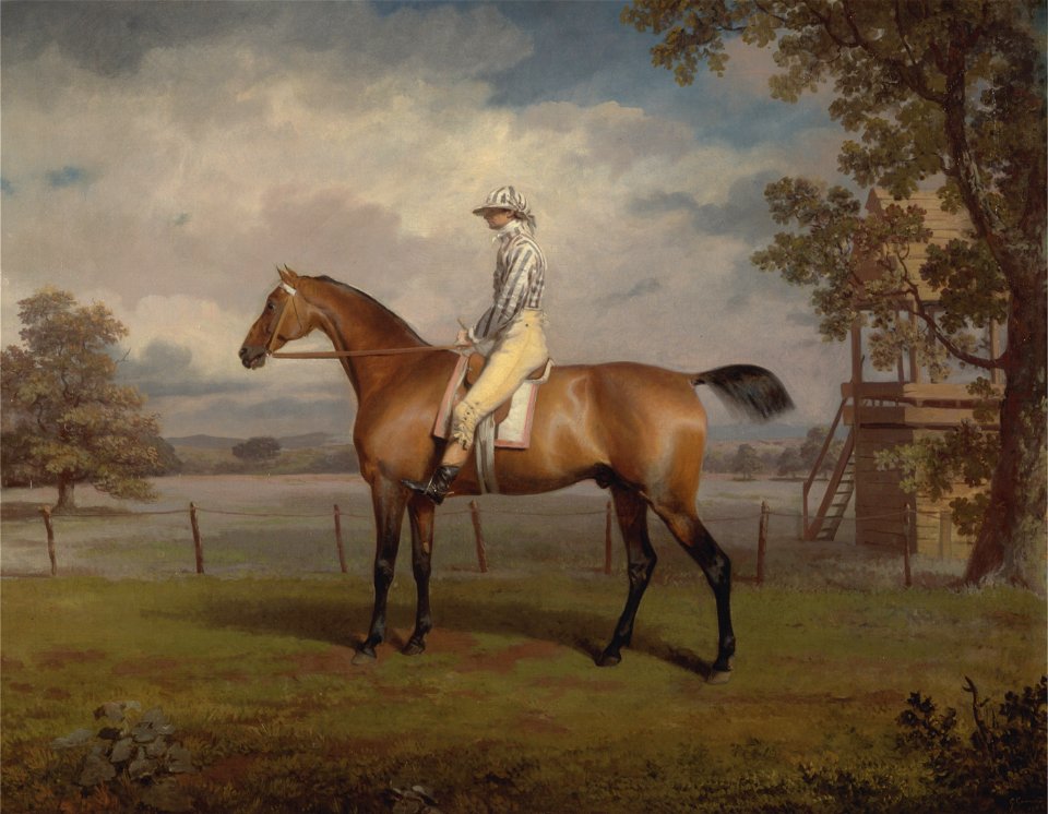 George Garrard - Portrait of a Racehorse, Possibly Disguise, the Property of the Duke of Hamilton, with Jockey Up - Google Art Project