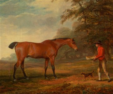 George Garrard - A Bay Horse Approached by a Stable-Lad with Food and a Halter - Google Art Project. Free illustration for personal and commercial use.