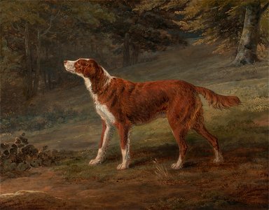 George Garrard - Ranger, a setter, the property of Elizabeth Gray - Google Art Project. Free illustration for personal and commercial use.