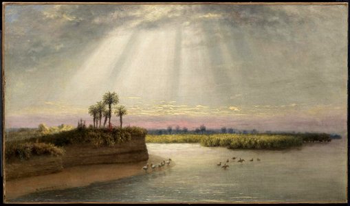 George Harvey - White Pelicans in Florida - 47.1163 - Museum of Fine Arts