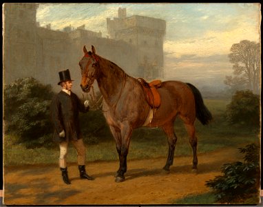 George Housman Thomas (1824-68) - Violet with William Daborn - RCIN 408929 - Royal Collection