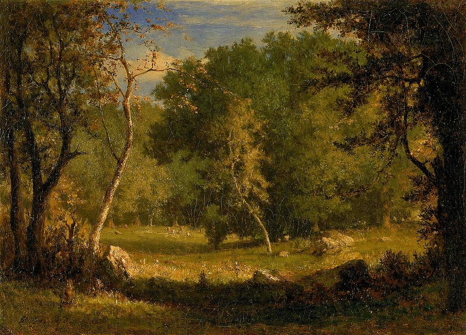 George Inness - Elf Ground - 1920.2.1 - Smithsonian American Art Museum