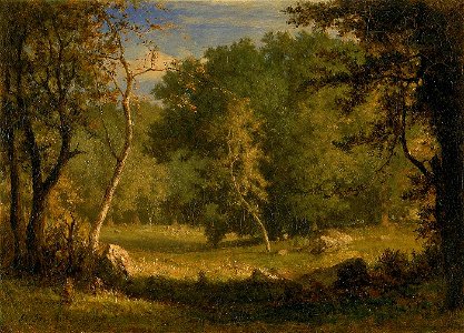 George Inness - Elf Ground - 1920.2.1 - Smithsonian American Art Museum