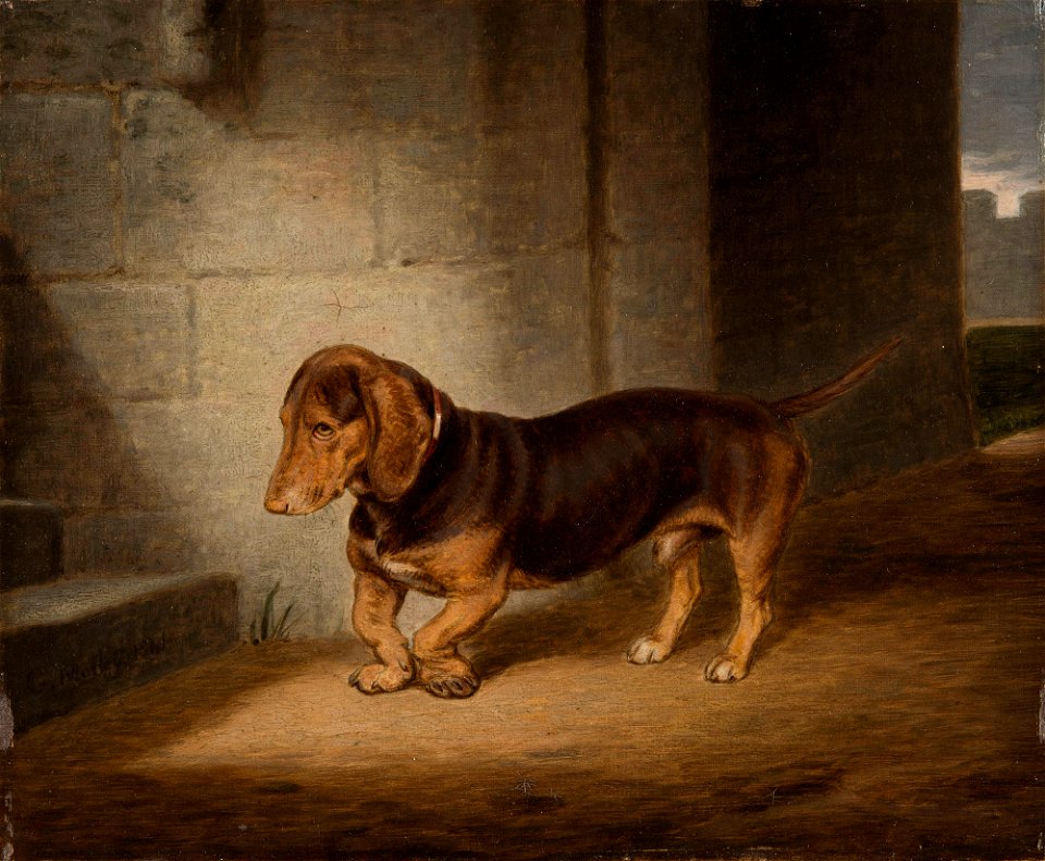 George Morley (active 1832-63) - Waldman - RCIN 404494 - Royal Collection