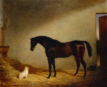 George Morley (active 1832-63) - Tartar with Scotty - RCIN 406004 - Royal Collection