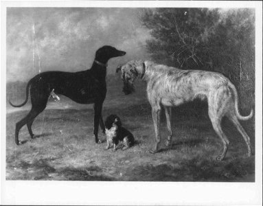 George Morley (active 1832-63) - Nero, Dash and Hector - RCIN 406600 - Royal Collection