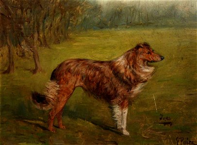 George Paice (1854-1925) - 'Tess', a Collie in a Landscape - 1221345 - National Trust