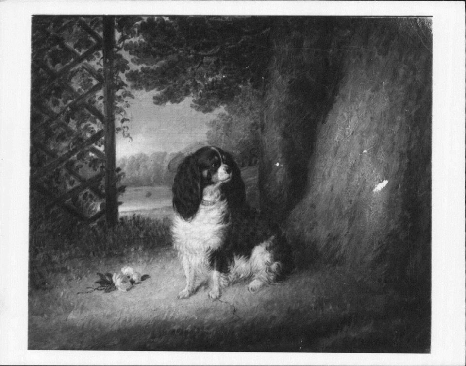 George Morley (active 1832-63) - Dash - RCIN 406655 - Royal Collection