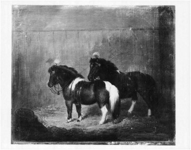George Morley (active 1832-63) - Tommy and Jemmy - RCIN 404254 - Royal Collection